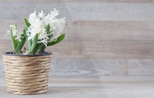 美職カンパニー