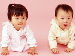 学校法人簡野育英会