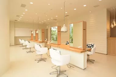 Image Job Office Lady