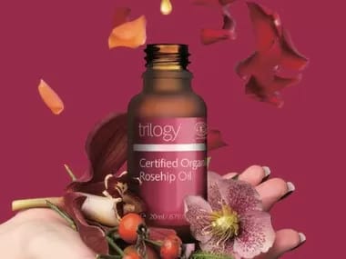 Image Job Office Lady