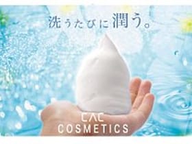 シーエーシージャパン販売株式会社