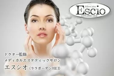 Image Job Office Lady