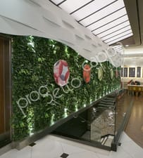 PROGETTO CAPPA/ 株式会社北井建築設計事務所