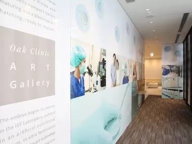 Image Job Office Lady