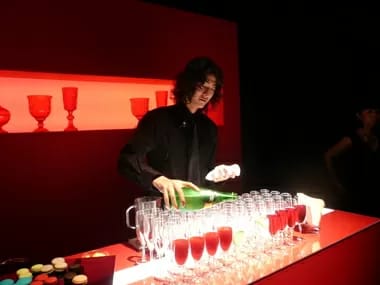 Image Job Office Lady