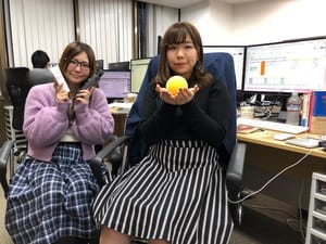 日本ITビジネス研究所株式会社