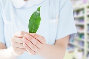 白十商事有限会社(シルバータウン)