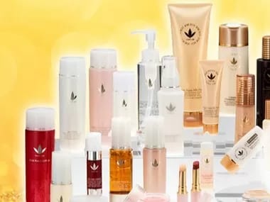 Image Job Office Lady