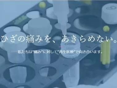 Image Job Office Lady