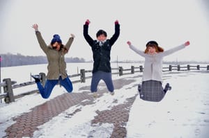 株式会社 竜巧社ネットウエア