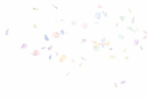 有限会社ルナモーダ