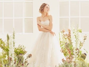 茂木商事株式会社