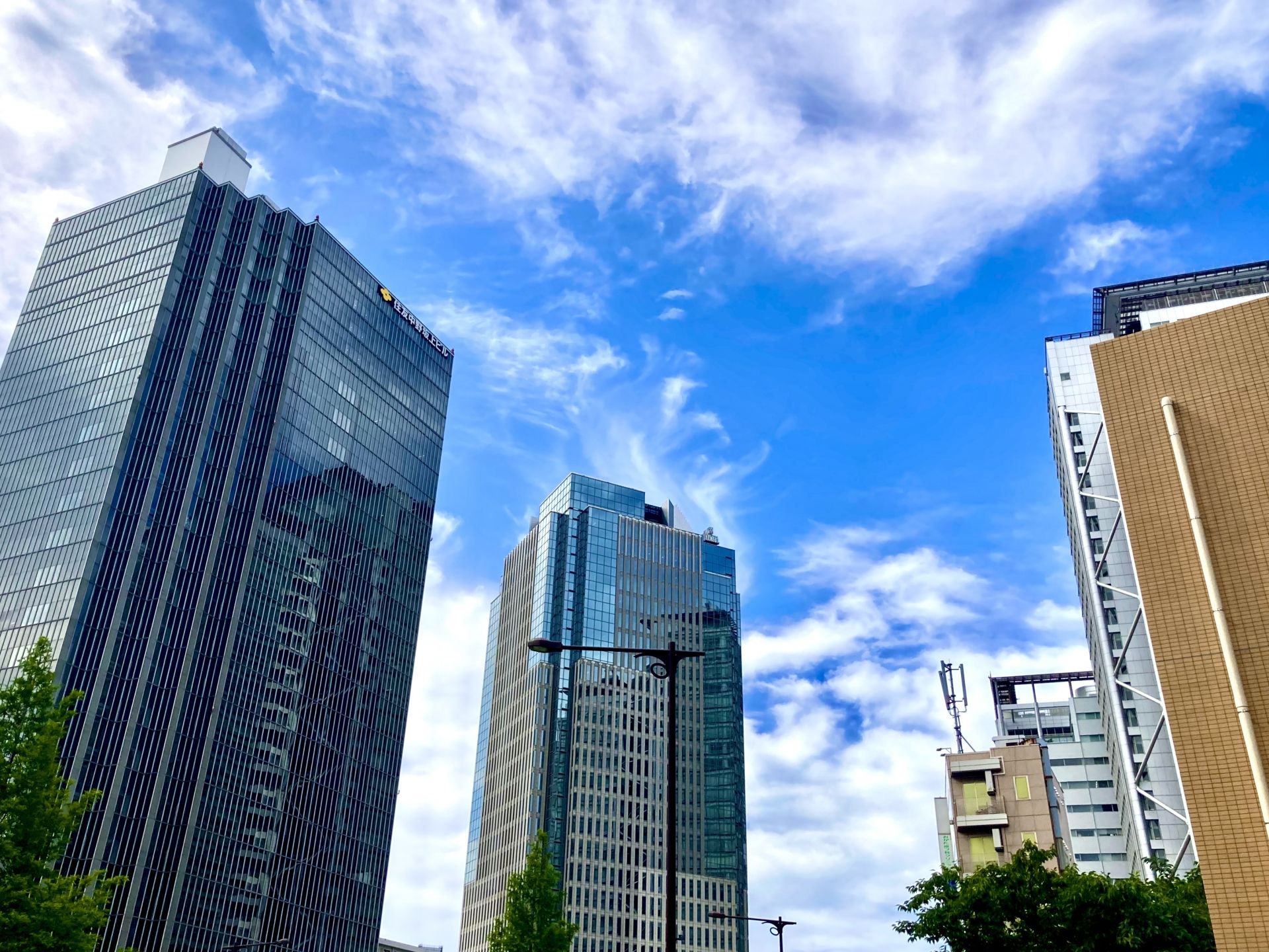 Image Job Office Lady